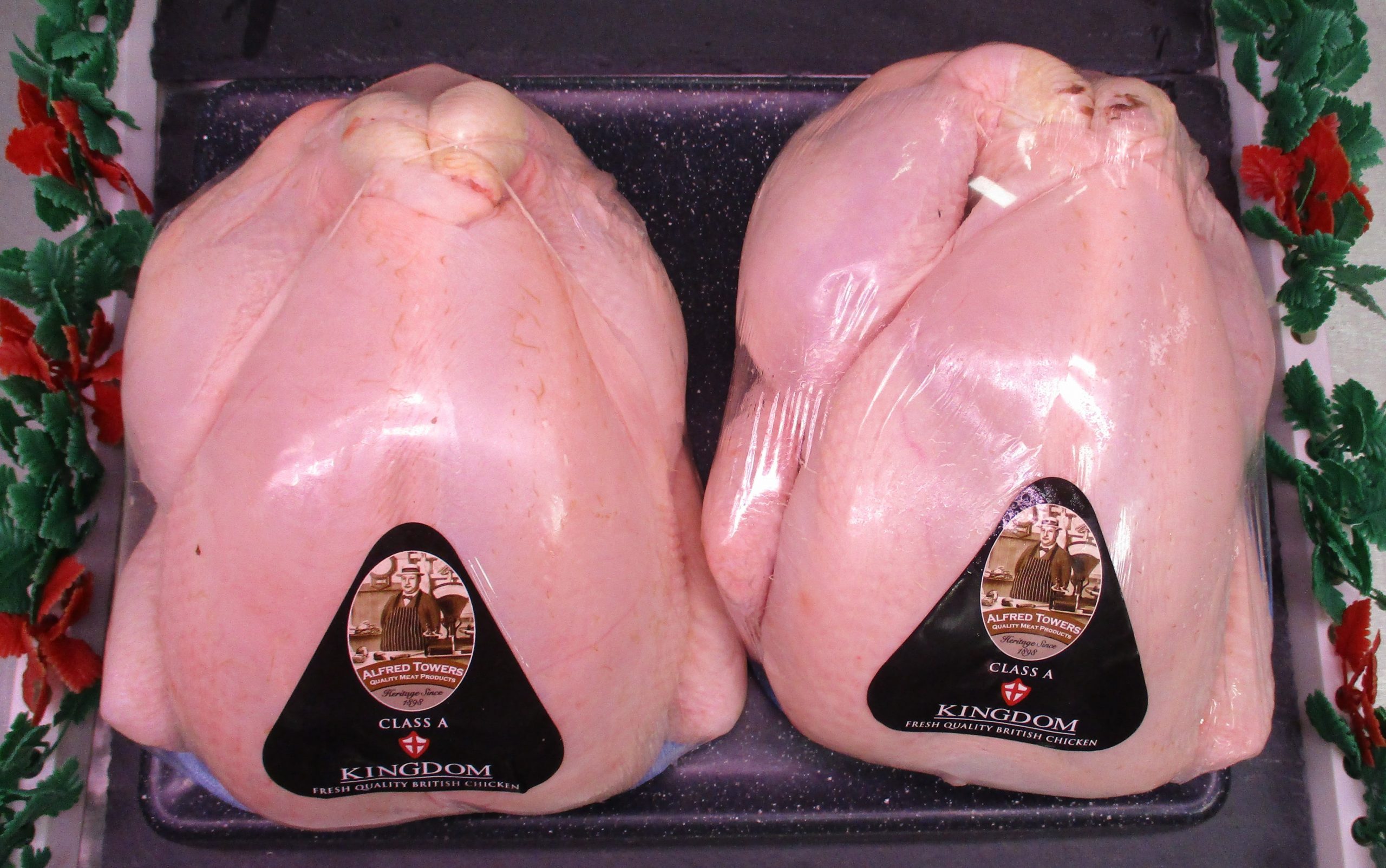 chicken